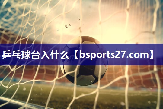 乒乓球台入什么