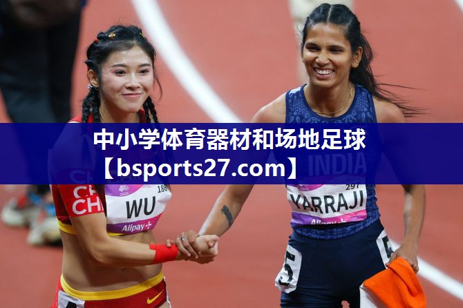 中小学体育器材和场地足球