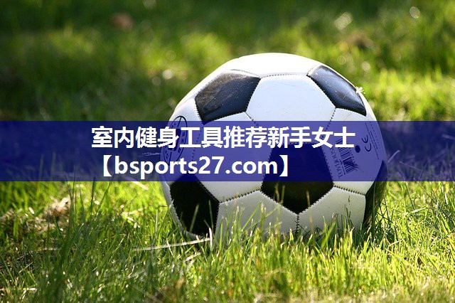 室内健身工具推荐新手女士