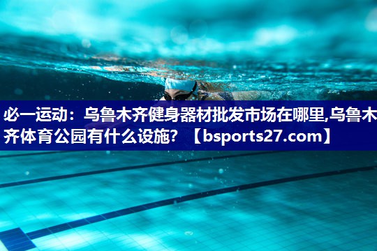 必一运动：乌鲁木齐健身器材批发市场在哪里,乌鲁木齐体育公园有什么设施？