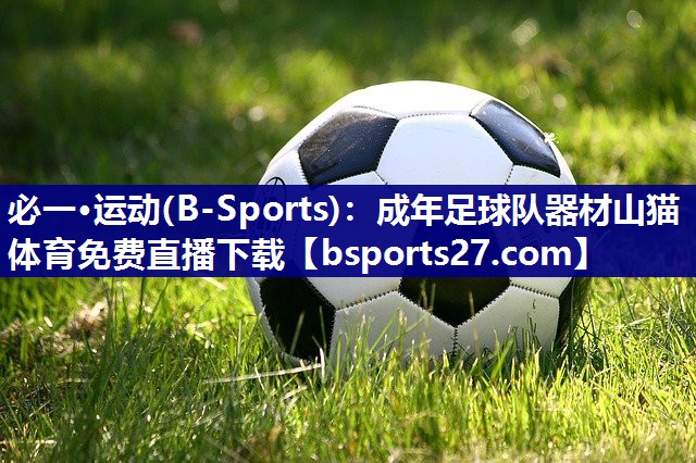 必一·运动(B-Sports)：成年足球队器材山猫体育免费直播下载