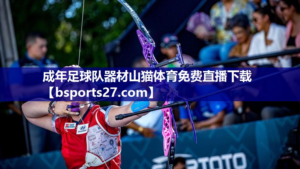 成年足球队器材山猫体育免费直播下载