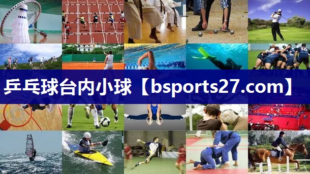 乒乓球台内小球 乒乓球台内小球