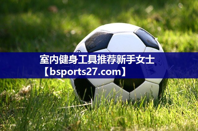 室内健身工具推荐新手女士 室内健身工具推荐新手女士